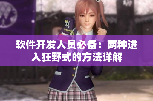 软件开发人员必备：两种进入狂野式的方法详解