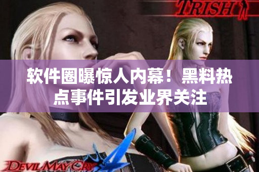 软件圈曝惊人内幕！黑料热点事件引发业界关注