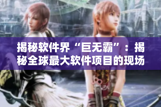 揭秘软件界“巨无霸”：揭秘全球最大软件项目的现场图解闪亮登场