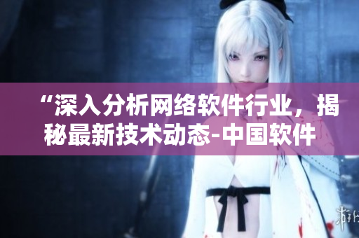 “深入分析网络软件行业，揭秘最新技术动态-中国软件行业观察与前瞻”