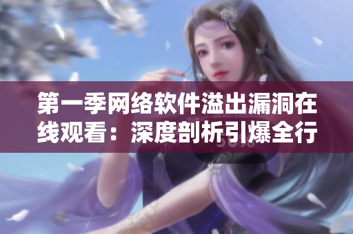 第一季网络软件溢出漏洞在线观看：深度剖析引爆全行业解决之道