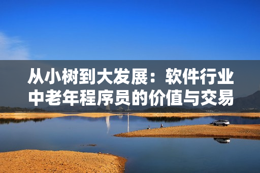 从小树到大发展：软件行业中老年程序员的价值与交易