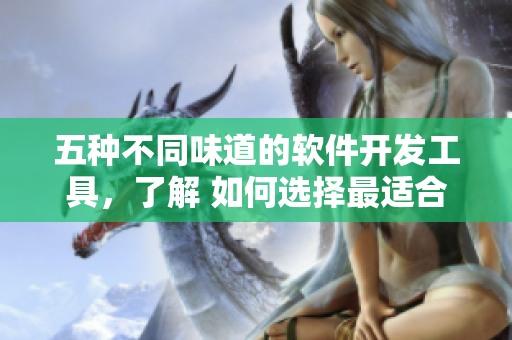 五种不同味道的软件开发工具，了解 如何选择最适合自己的程序开发软件