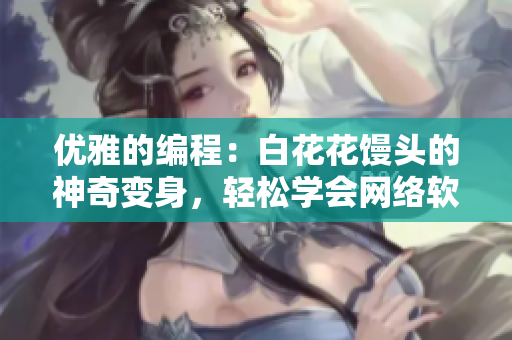 优雅的编程：白花花馒头的神奇变身，轻松学会网络软件开发技巧