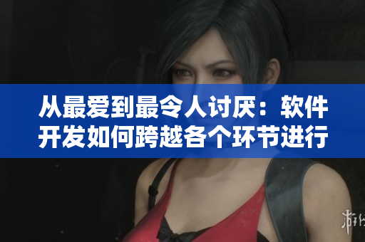 从最爱到最令人讨厌：软件开发如何跨越各个环节进行完美设计