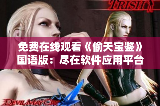 免费在线观看《偷天宝鉴》国语版：尽在软件应用平台，全程高清流畅观影享受
