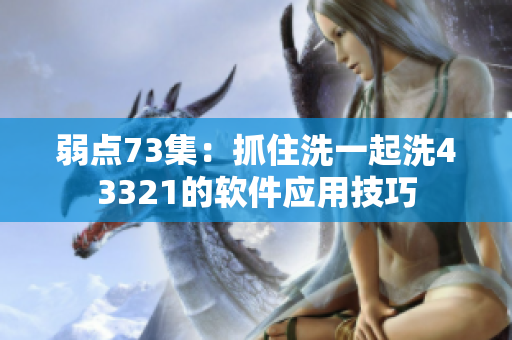 弱点73集：抓住洗一起洗43321的软件应用技巧