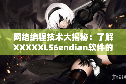 网络编程技术大揭秘：了解XXXXXL56endian软件的运行机制