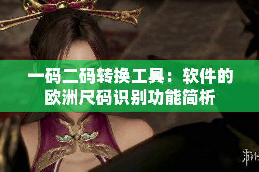 一码二码转换工具：软件的欧洲尺码识别功能简析