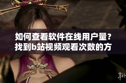 如何查看软件在线用户量？找到b站视频观看次数的方法