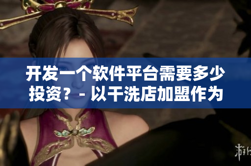 开发一个软件平台需要多少投资？- 以干洗店加盟作为参考