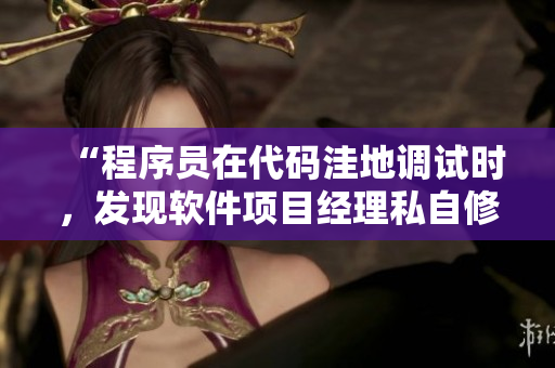 “程序员在代码洼地调试时，发现软件项目经理私自修改需求”