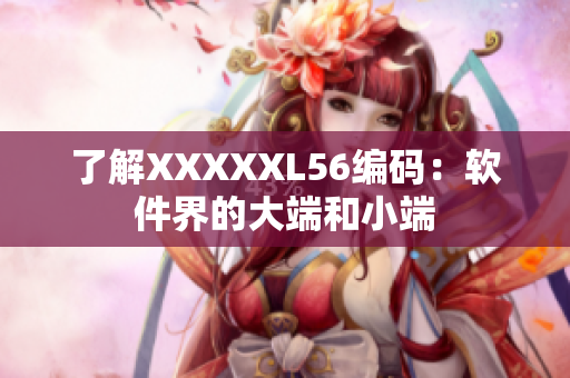 了解XXXXXL56编码：软件界的大端和小端