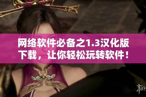 网络软件必备之1.3汉化版下载，让你轻松玩转软件！