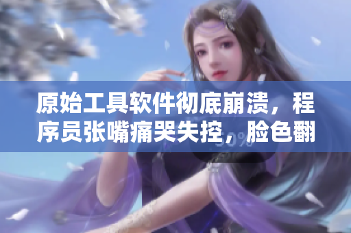 原始工具软件彻底崩溃，程序员张嘴痛哭失控，脸色翻白眼！