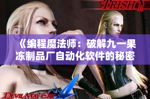 《编程魔法师：破解九一果冻制品厂自动化软件的秘密》