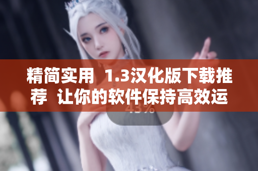 精简实用  1.3汉化版下载推荐  让你的软件保持高效运行