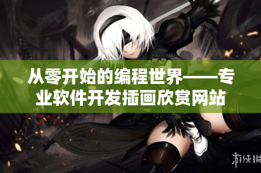 从零开始的编程世界——专业软件开发插画欣赏网站