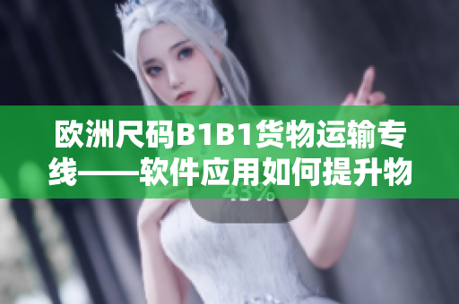 欧洲尺码B1B1货物运输专线——软件应用如何提升物流运输效率