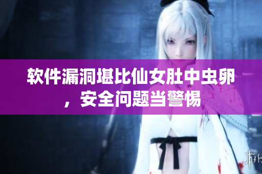 软件漏洞堪比仙女肚中虫卵，安全问题当警惕