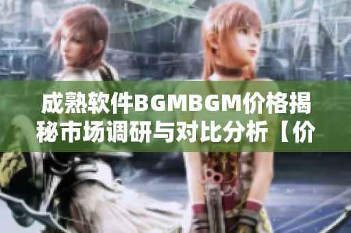 成熟软件BGMBGM价格揭秘市场调研与对比分析【价值解读】