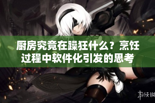厨房究竟在躁狂什么？烹饪过程中软件化引发的思考