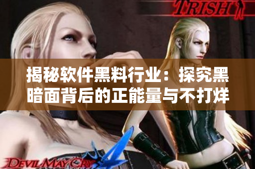 揭秘软件黑料行业:探究黑暗面背后的正能量与不打烊的现实 揭秘软件黑料行业:探究黑暗面背后的正能量与不打烊的现实