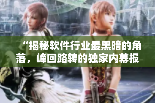“揭秘软件行业最黑暗的角落,峰回路转的独家内幕报道” “揭秘软件行业最黑暗的角落,峰回路转的独家内幕报道”