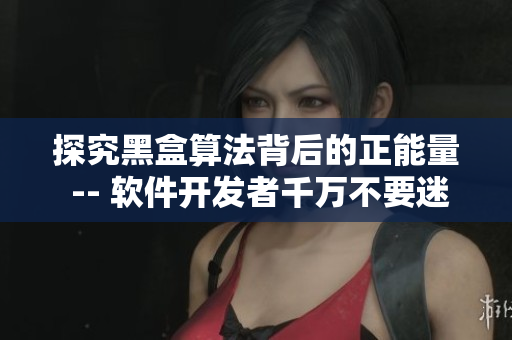 探究黑盒算法背后的正能量 -- 软件开发者千万不要迷路！