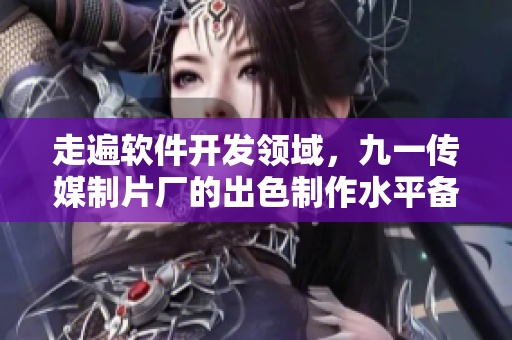 走遍软件开发领域，九一传媒制片厂的出色制作水平备受赞誉！